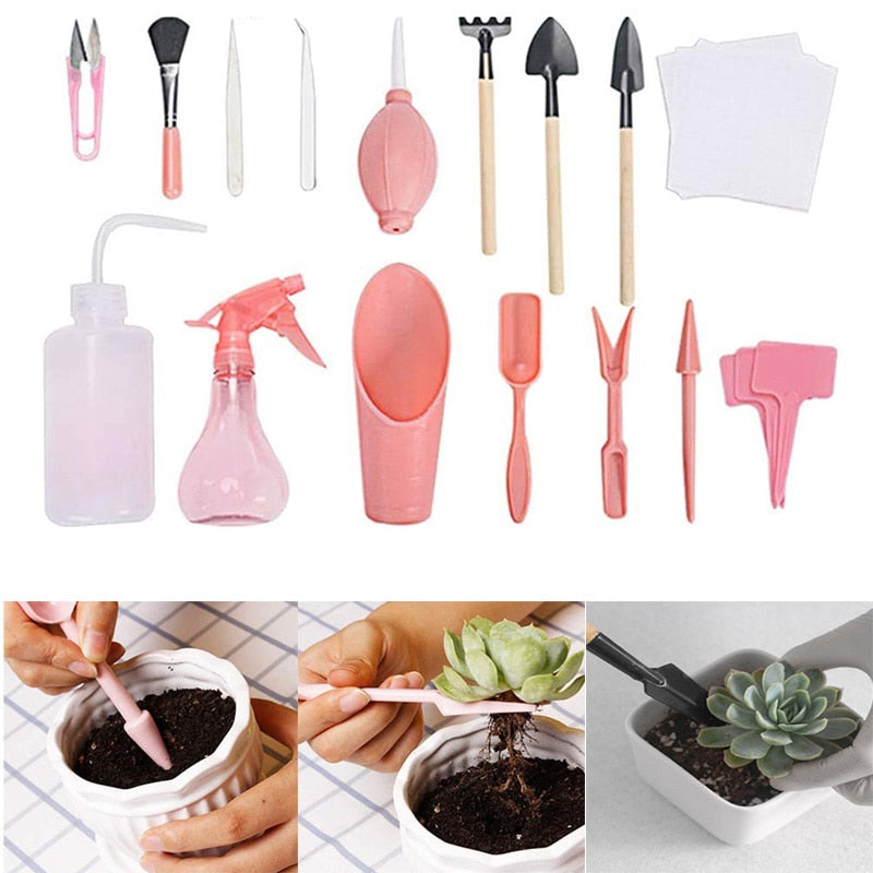 Kit de jardinagem para suculentas 12 peças - Oferta Certa Online