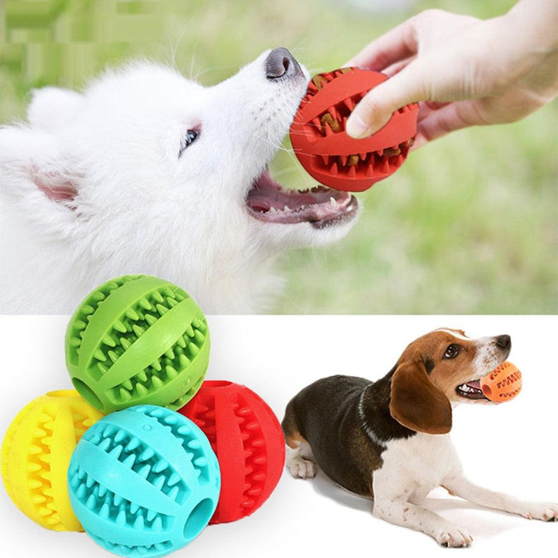 Bolinha de Borracha com Porta Petisco para Pets - Oferta Certa Online