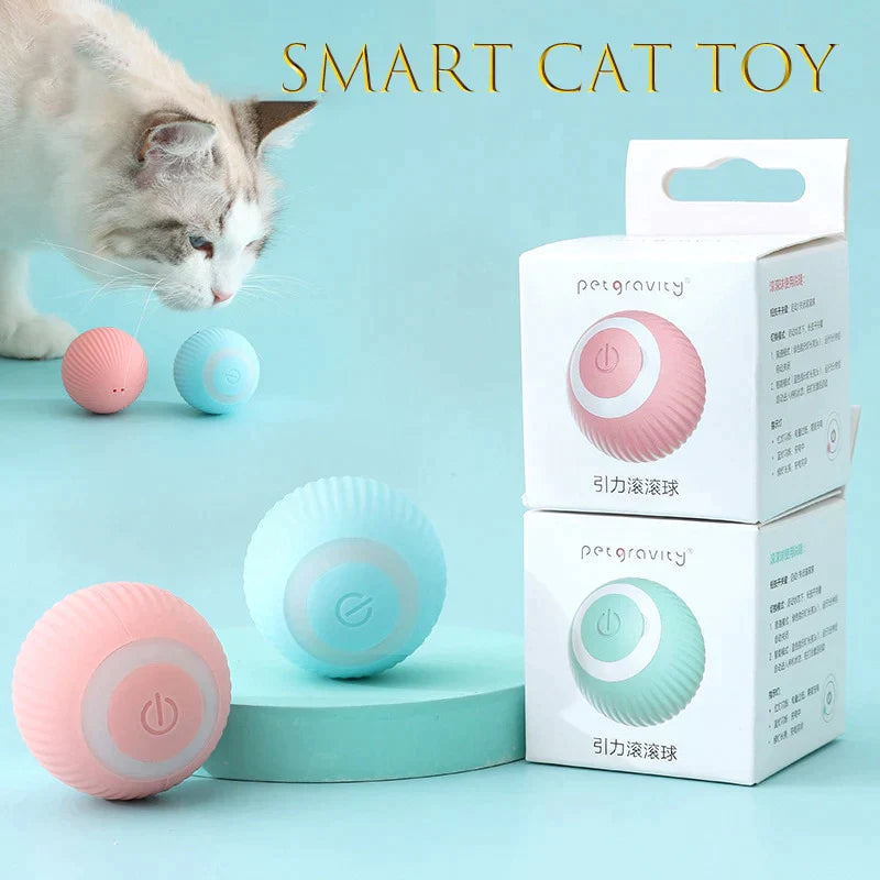 Bolinha interativa para gatos - Oferta Certa Online