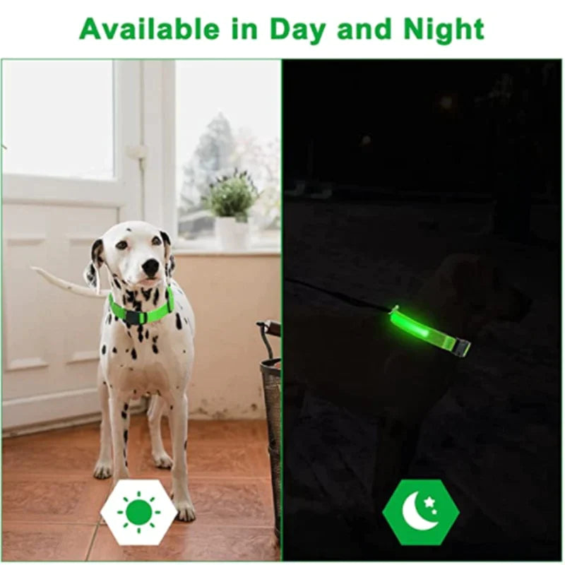 Coleira LED - pets - Oferta Certa Online