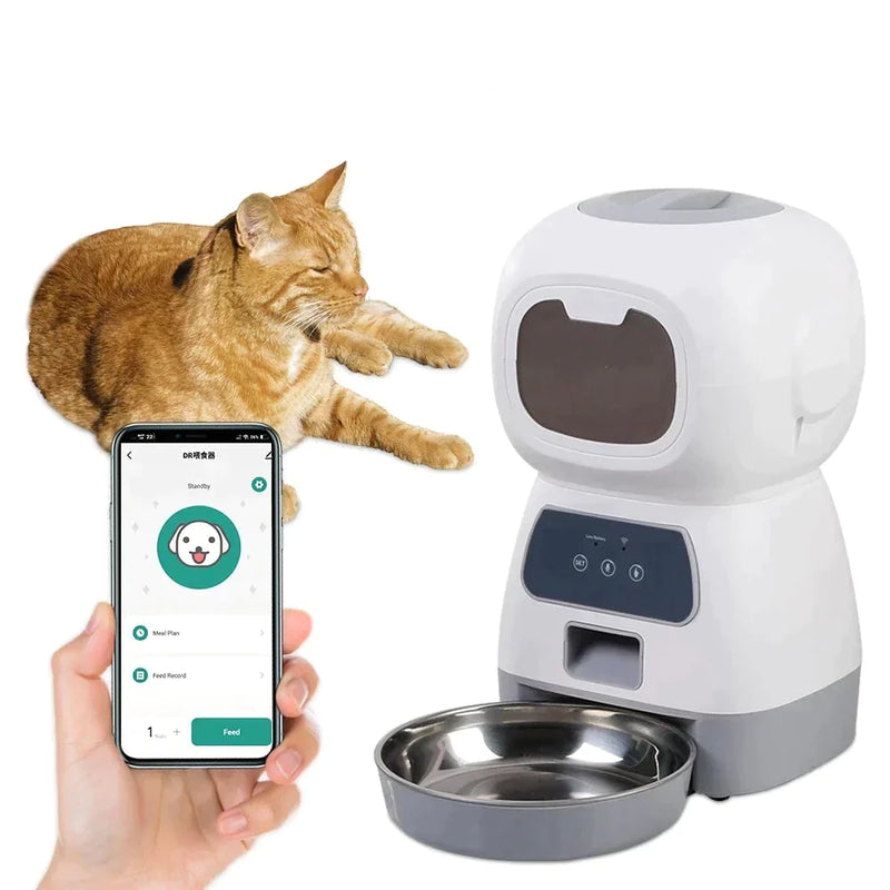 Alimentador Automático para Cães e Gatos - Oferta Certa Online