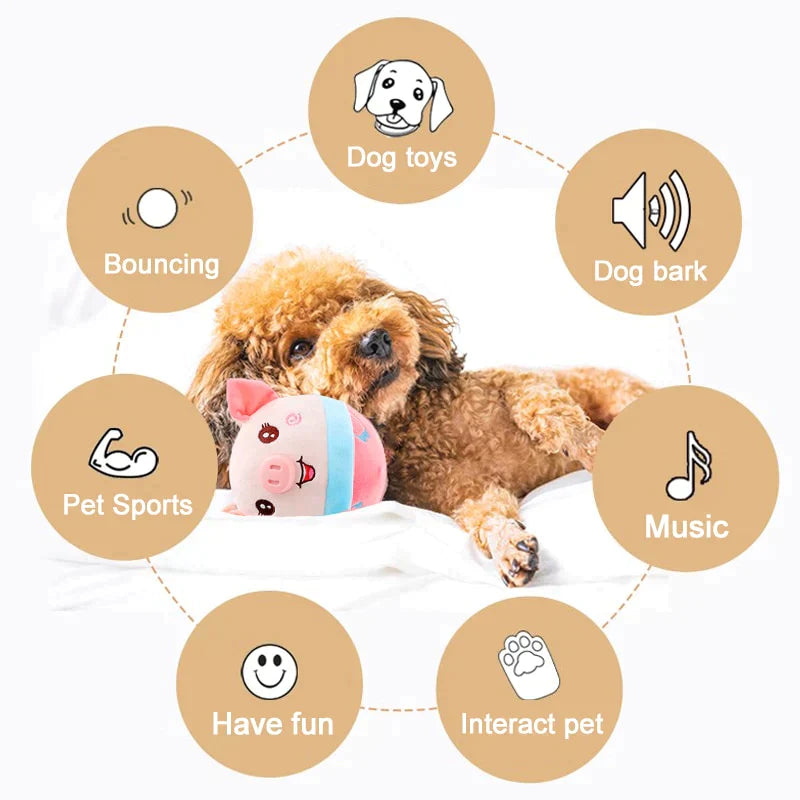 Brinquedo Interativo para Cães - Oferta Certa Online