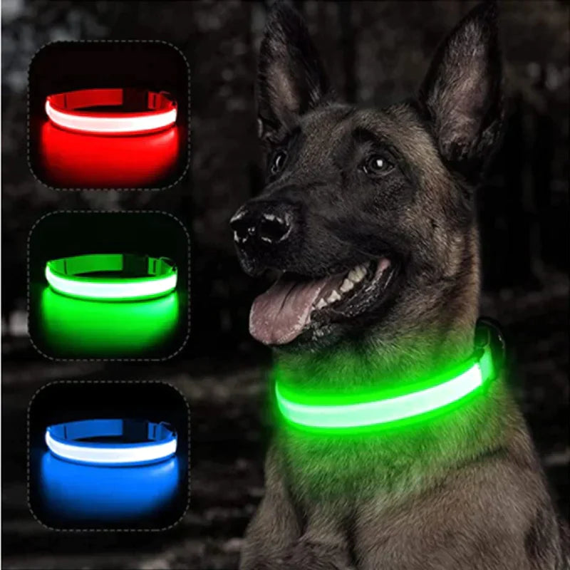 Coleira LED - pets - Oferta Certa Online