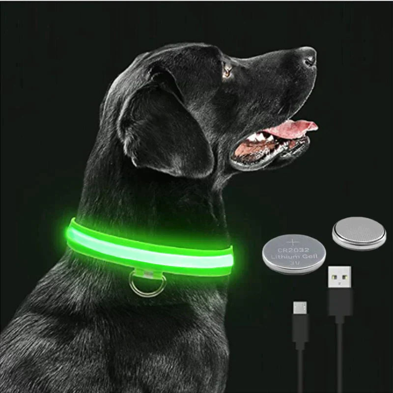 Coleira LED - pets - Oferta Certa Online