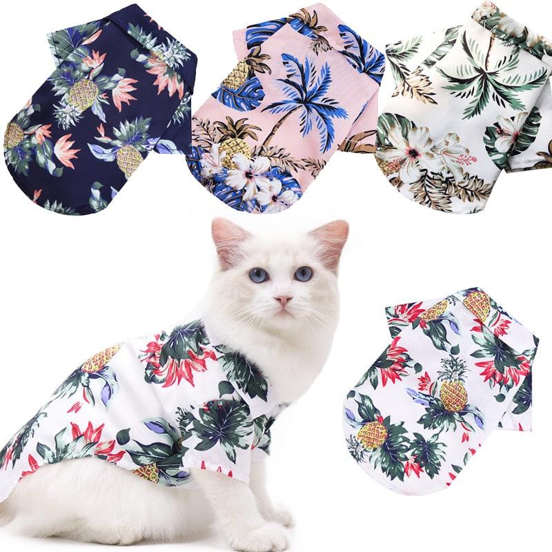 Camisa Verão para pets - Oferta Certa Online